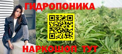 стаф Заводоуковск