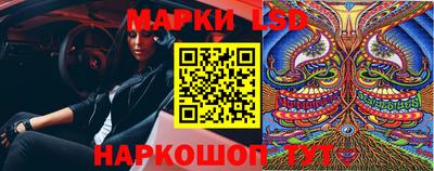 стаф Заводоуковск