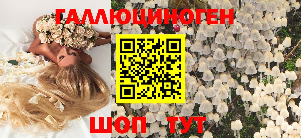 Майкоп  где купить   Вход с VPN  Галлюциногенные грибы мухоморы 
